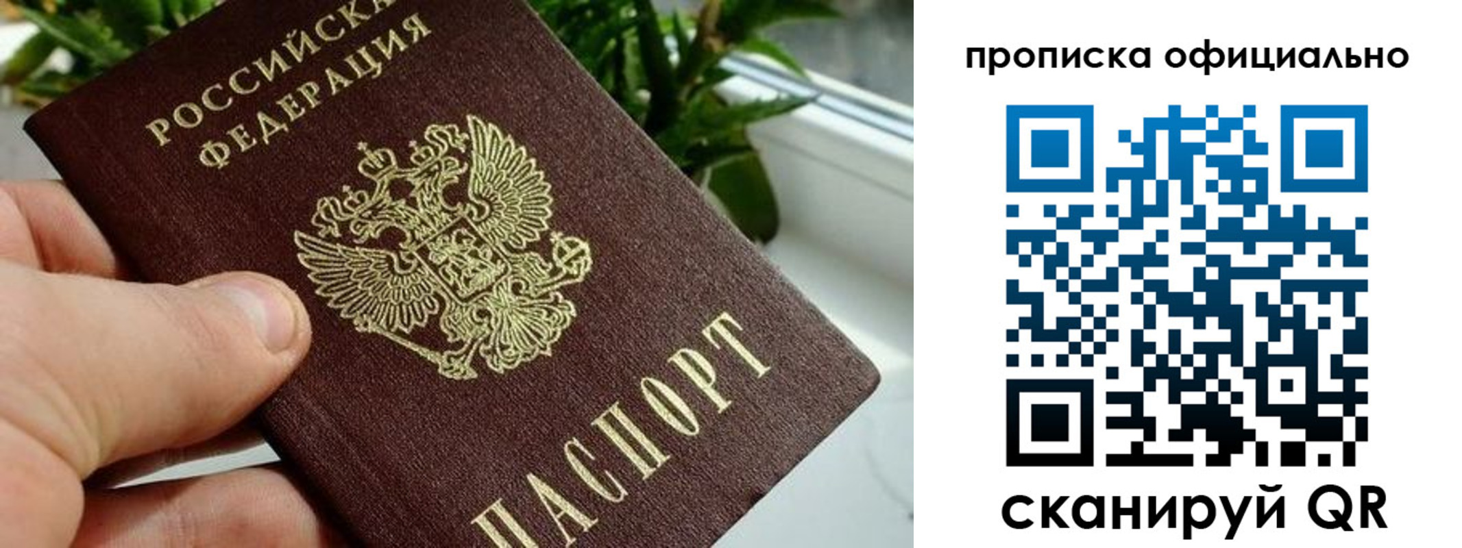 прописка поиск в Октябрьском